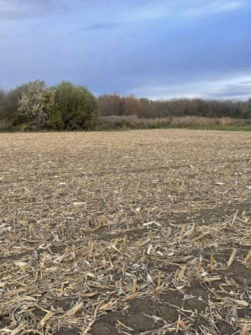 Eladó telek, Dadon 10.9 M Ft / költözzbe.hu