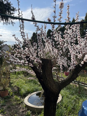 Eladó családi ház, Százhalombattán 74.9 M Ft, 3 szobás