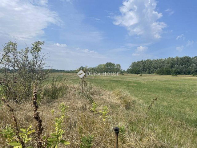 Eladó mezogazdasagi ingatlan, Szabadszálláson 6.5 M Ft