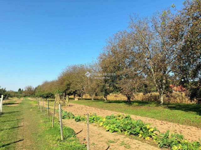 Eladó mezogazdasagi ingatlan, Nyíregyházán 49 M Ft