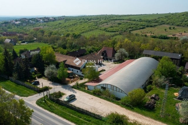 Eladó mezogazdasagi ingatlan, Zsámbékon 248 M Ft, 6 szobás