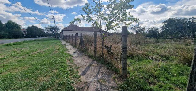 Eladó telek, Törtelen 8 M Ft / költözzbe.hu