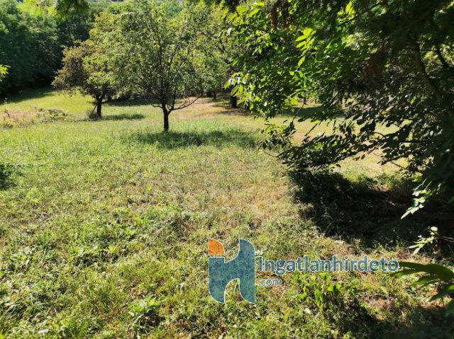 Eladó mezogazdasagi ingatlan, Zalaegerszegen 3 M Ft