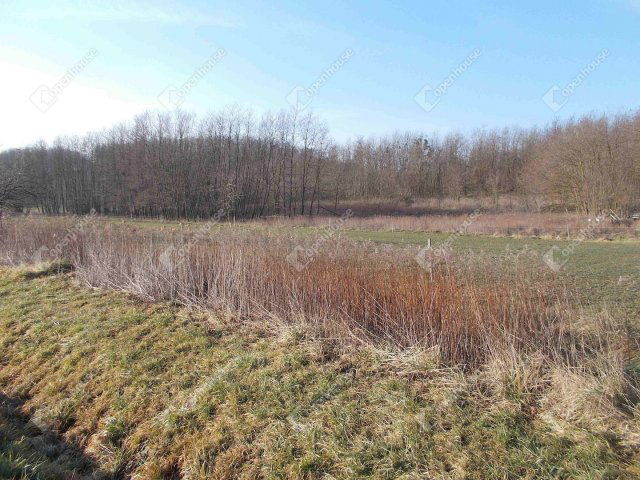 Eladó telek, Pusztamagyaródon 1.9 M Ft / költözzbe.hu