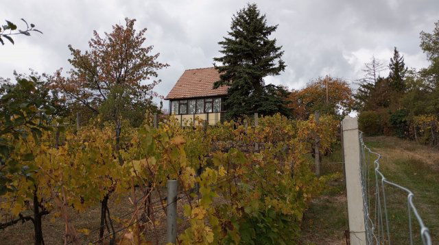 Eladó nyaraló, Pázmándon 21.9 M Ft, 1 szobás