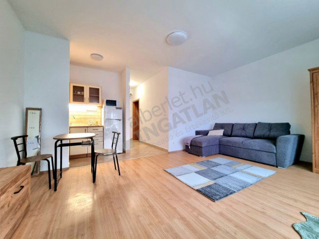 Kiadó téglalakás, albérlet, XIII. kerületben, Reitter Ferenc utcában