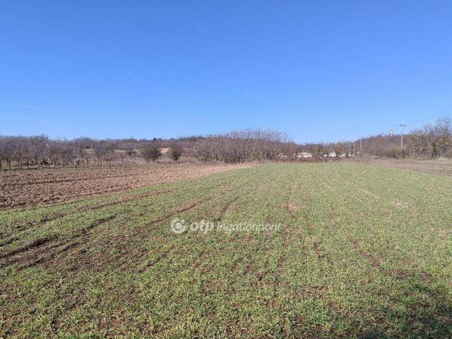 Eladó mezogazdasagi ingatlan, Tökön 15 M Ft