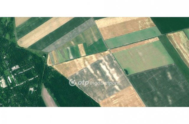 Eladó mezogazdasagi ingatlan, Nagyvenyimen 34.8 M Ft