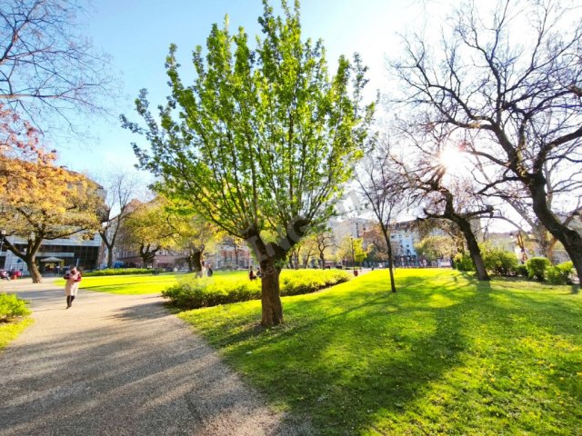 Kiadó téglalakás, albérlet, VIII. kerületben, Diószegi Sámuel utcában