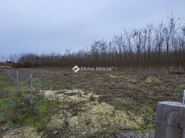 Eladó telek, Dabason 15 M Ft / költözzbe.hu