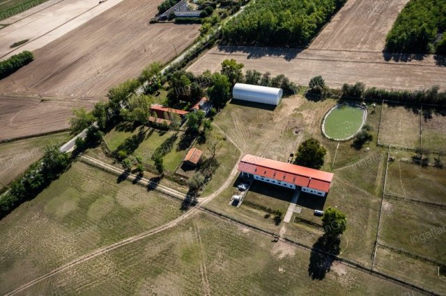 Eladó mezogazdasagi ingatlan, Lajosmizsén 307.5 M Ft