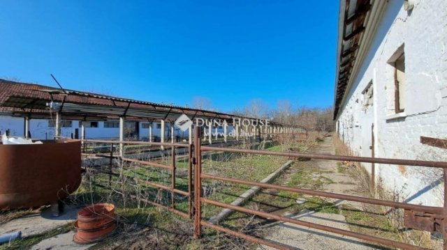 Eladó mezogazdasagi ingatlan, Hódmezővásárhelyen 59.9 M Ft