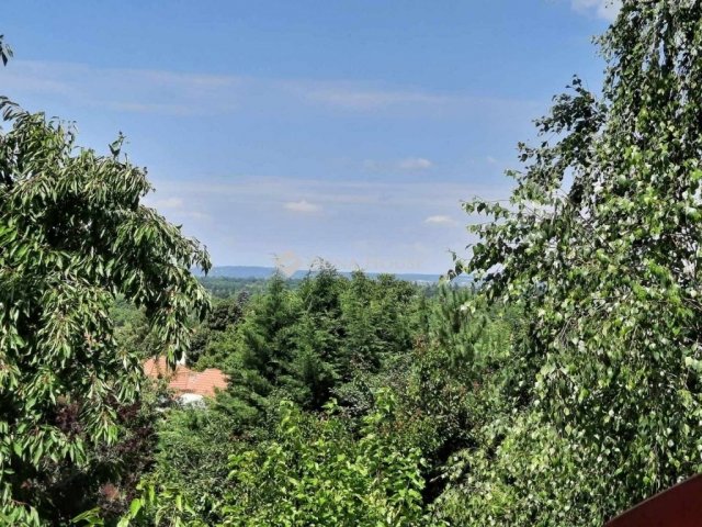 Eladó családi ház, Pátyon 170 M Ft, 5 szobás