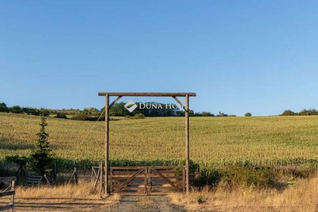 Eladó családi ház, Erdőkertesen 325 M Ft, 5 szobás