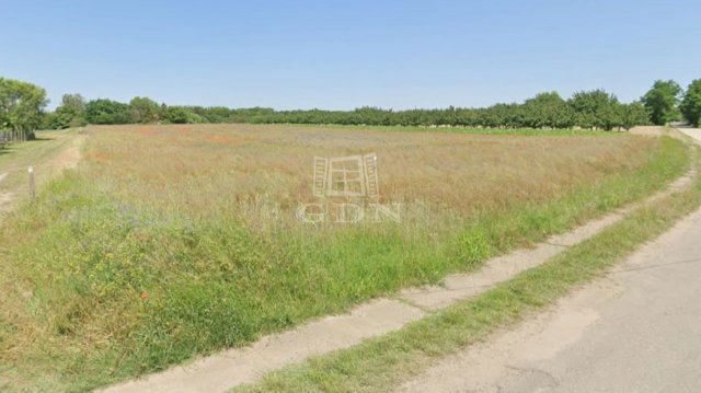 Eladó telek, Kecskeméten 18.5 M Ft / költözzbe.hu