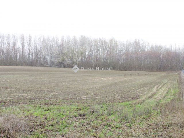 Eladó telek, Pilisen 7.5 M Ft / költözzbe.hu