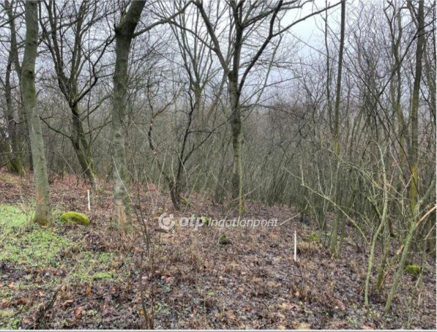 Eladó telek, Tahitótfalun 8 M Ft / költözzbe.hu