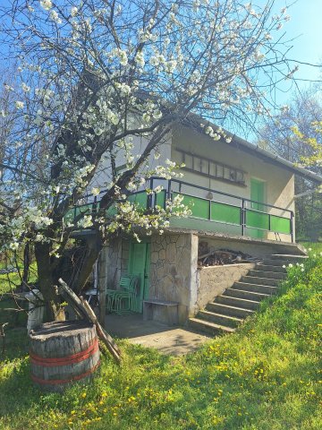 Eladó mezogazdasagi ingatlan, Alsónemesapátiban 2.7 M Ft