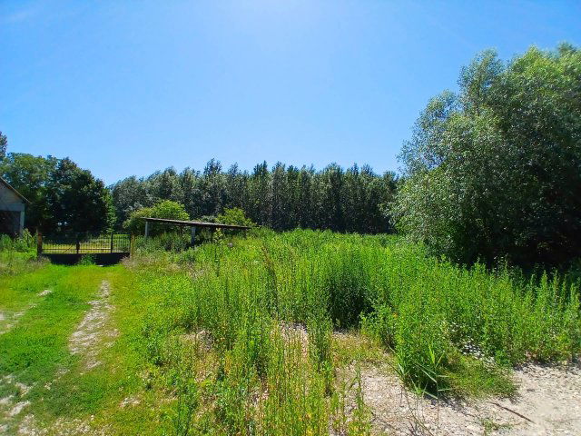 Eladó mezogazdasagi ingatlan, Szikszón 14.9 M Ft