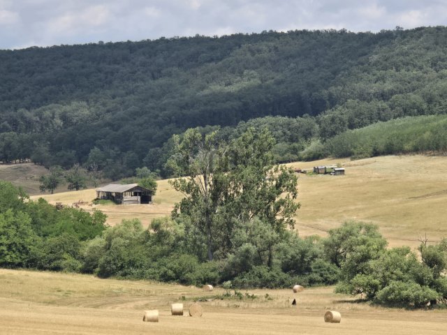 Eladó mezogazdasagi ingatlan, Aszódon 1120 M Ft