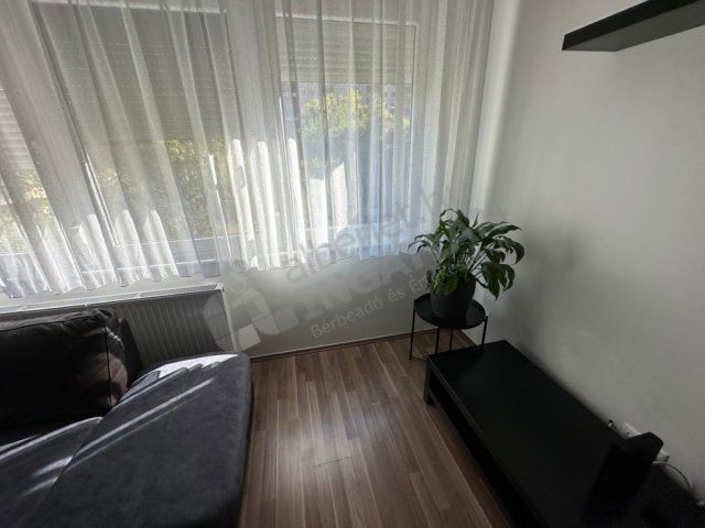 Kiadó panellakás, albérlet, XIII. kerületben, Kárpát utcában