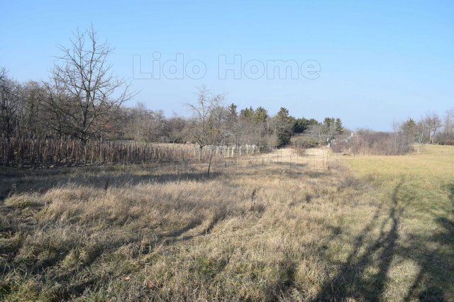 Eladó telek, Győrságon 13.5 M Ft / költözzbe.hu