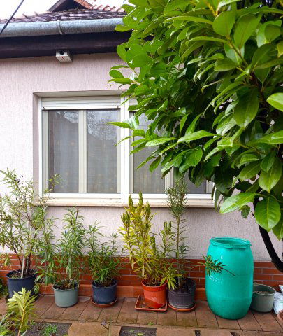 Eladó ikerház, Budapesten, XIV. kerületben 164.9 M Ft, 3 szobás