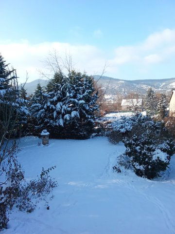 Eladó családi ház, Visegrádon 110 M Ft, 6 szobás