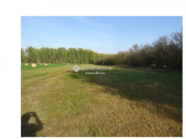 Eladó telek, Tiszaugon 12.5 M Ft / költözzbe.hu