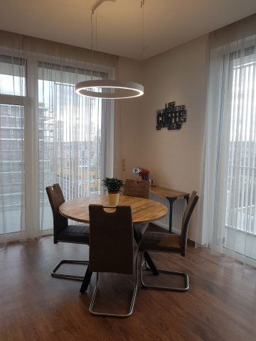 Kiadó téglalakás, albérlet, XI. kerületben, Kopaszi gáton