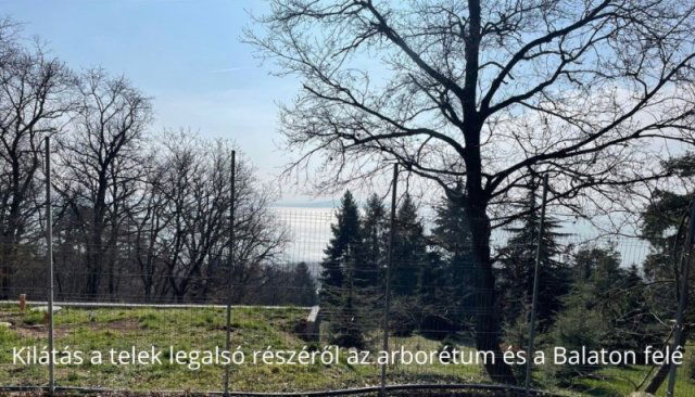 Eladó telek, Badacsonytomajon 29.9 M Ft / költözzbe.hu