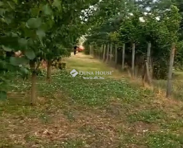 Eladó családi ház, Orosházán 4.9 M Ft, 4 szobás