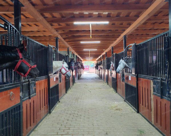 Eladó mezogazdasagi ingatlan, Nyíregyházán 179.999 M Ft