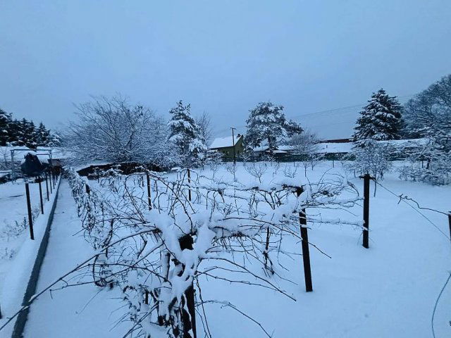 Eladó telek, Fóton 37.5 M Ft / költözzbe.hu