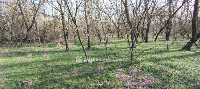 Eladó mezogazdasagi ingatlan, Jászberényben 5.7 M Ft