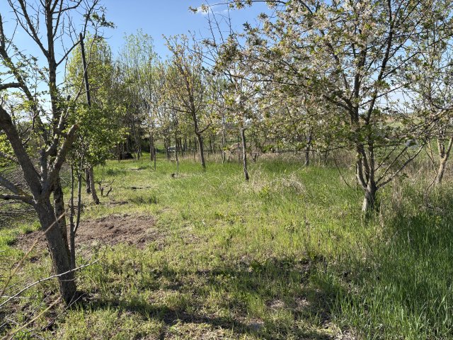 Eladó telek, Makádon 14.9 M Ft / költözzbe.hu