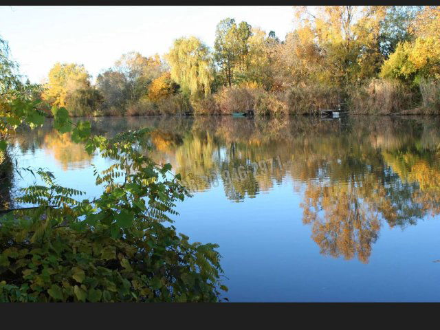 Eladó nyaraló, Gyomaendrődön 29 M Ft, 3 szobás