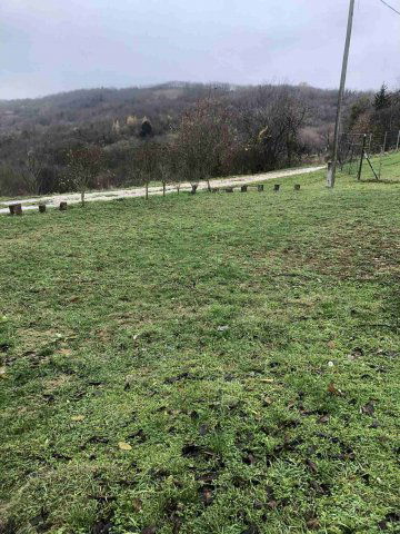 Eladó mezogazdasagi ingatlan, Zalaszentgróton 12 M Ft