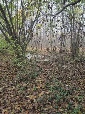 Eladó telek, Pécsett 5 M Ft / költözzbe.hu