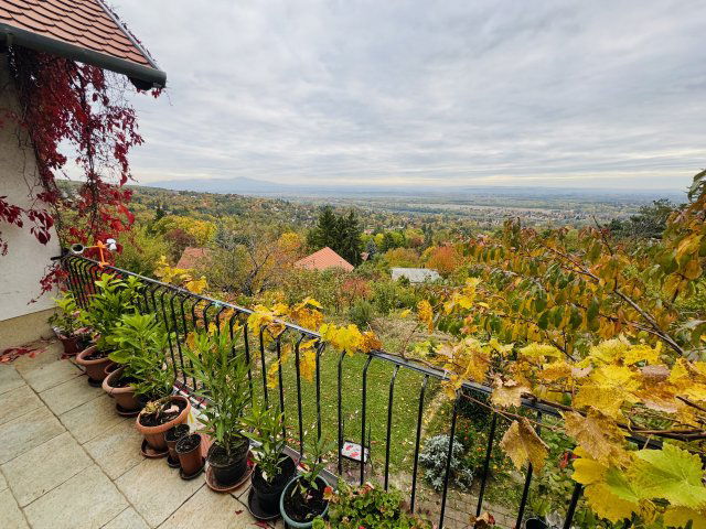 Eladó családi ház, Leányfaluban, Sólyom utcában 134.9 M Ft