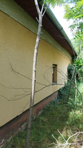 Eladó családi ház, Bakson, Aradi utcában 5.1 M Ft, 4 szobás