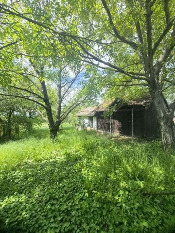 Eladó mezogazdasagi ingatlan, Szigetváron 2.9 M Ft