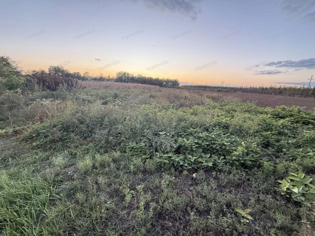 Eladó mezogazdasagi ingatlan, Geszteréden 6.5 M Ft