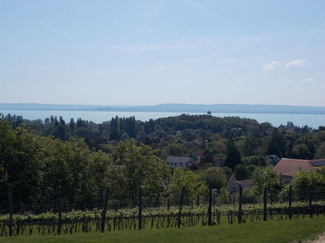 Eladó mezogazdasagi ingatlan, Ábrahámhegyen 59 M Ft