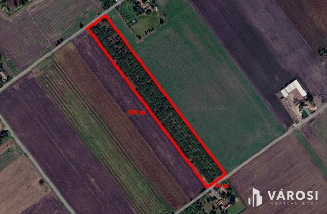 Eladó mezogazdasagi ingatlan, Békéscsabán 30 M Ft