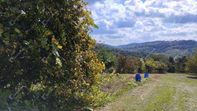 Eladó telek, Zalaegerszegen 18.8 M Ft / költözzbe.hu