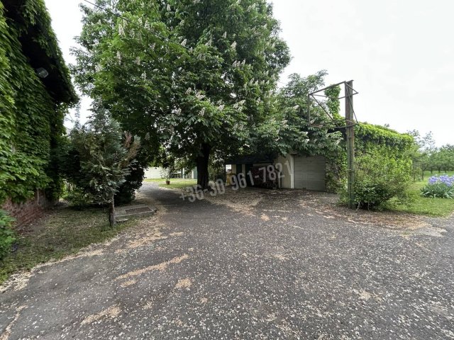 Eladó sorház, Sarkadon 60 M Ft, 4 szobás / költözzbe.hu