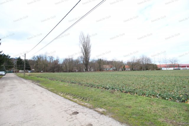 Eladó telek, Lébényben 100 M Ft / költözzbe.hu