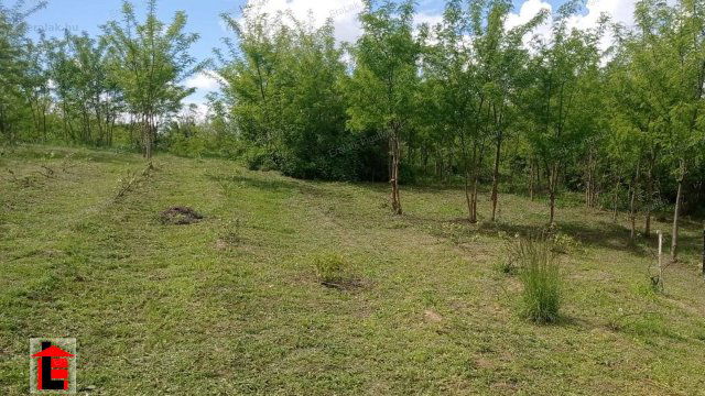 Eladó mezogazdasagi ingatlan, Lesencefaluban 14.99 M Ft, 1 szobás