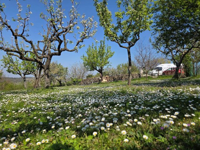 Eladó mezogazdasagi ingatlan, Zalahalápon 14.5 M Ft